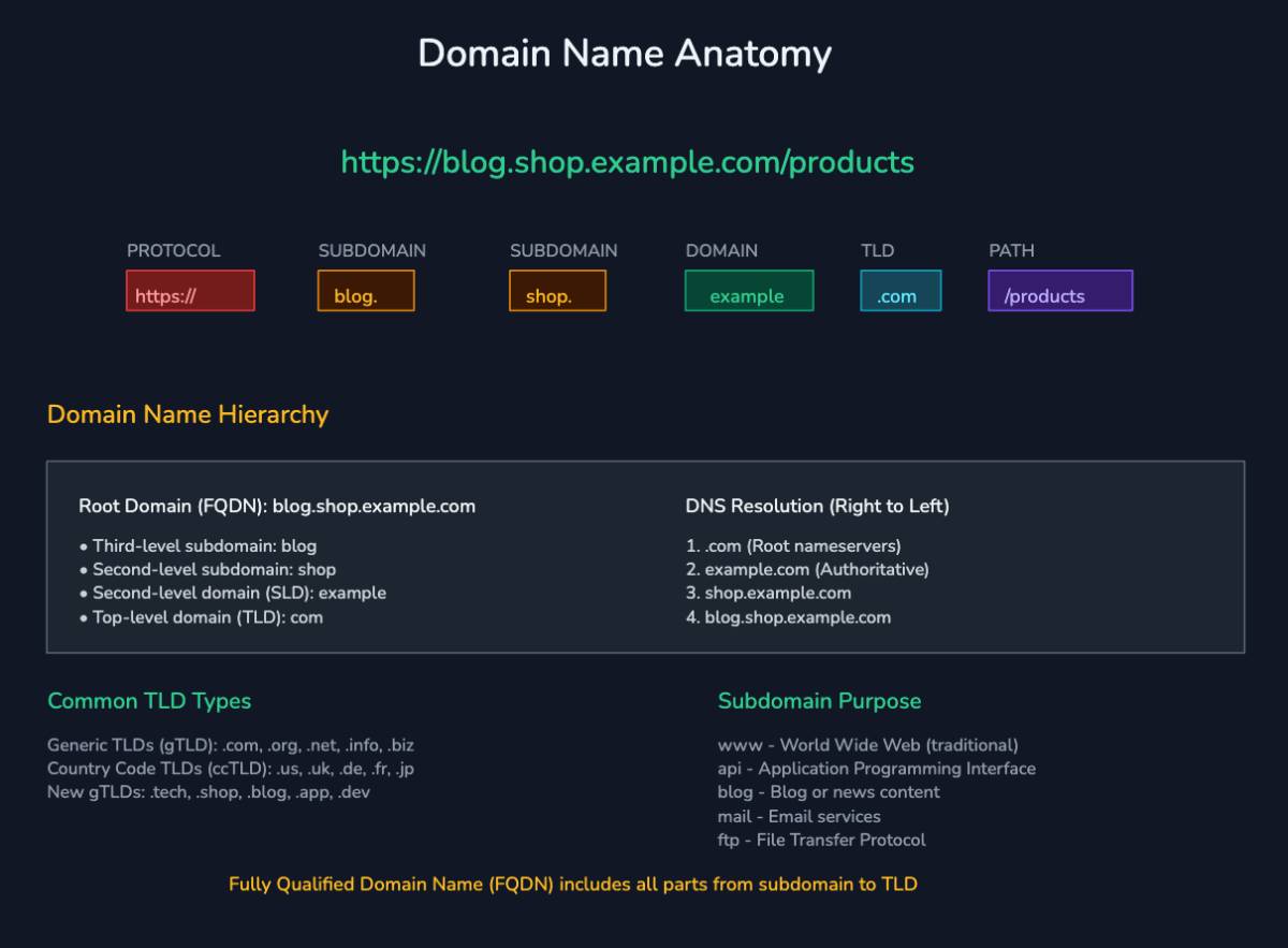 domain name anatomy